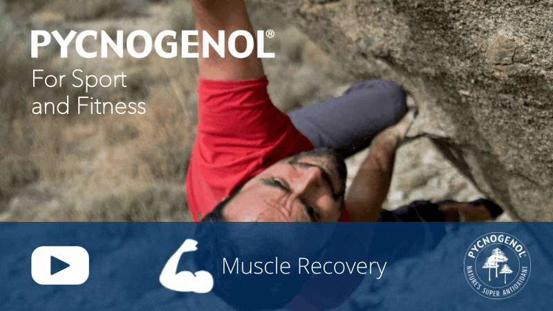 Pycnogenol, the science-based ingredient for sport performance