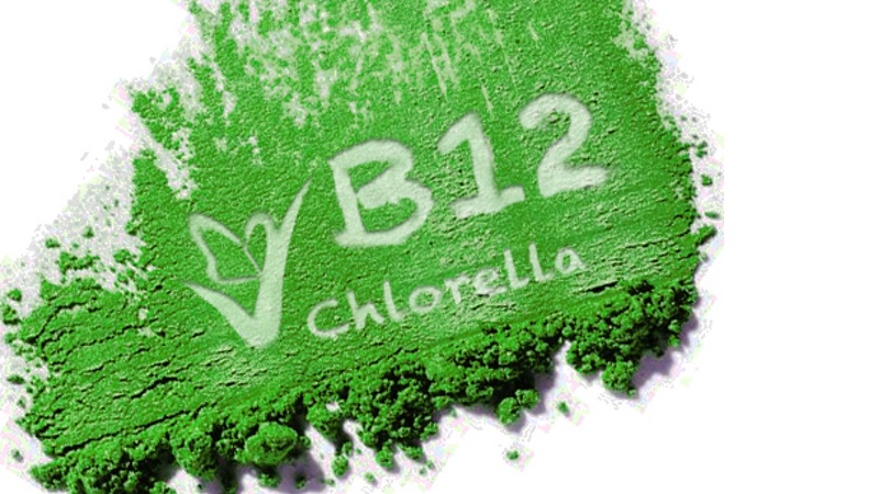 Research confirms Chlorella delivers plant-based source of Vitamin B12