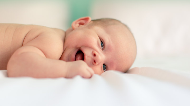 Research supports Kaneka probiotic formulation for infant FGID