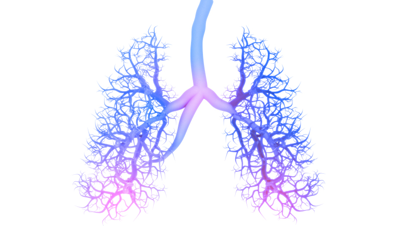 Review evaluates fucoidan’s potential to mitigate lung damage