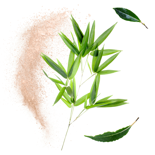 Revolutionising hair supplements: a comprehensive solution for strength, beauty and shine