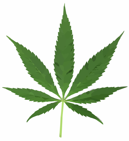 Rigorous cannabis testing for safety, quality and compliance