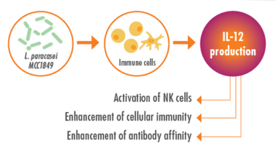 Shieldefence: a year-round immune support from Biofarma Group