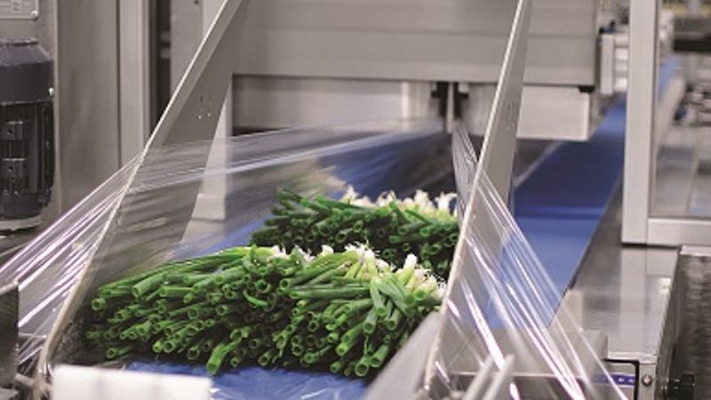StePac automates its less wasteful packaging line