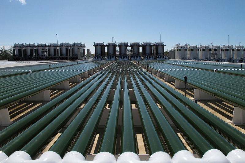 SUANNUTRA USA signs distribution agreement with Fitoplancton Marino for TetraSOD