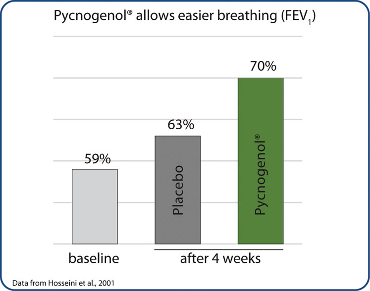 Take a deeper breath with Pycnogenol 
