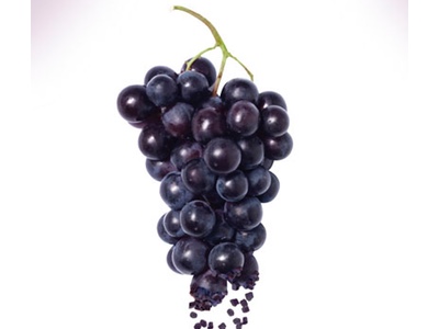 Taste, nutrition and value: Welch’s showcases triple benefits of Concord grape ingredients