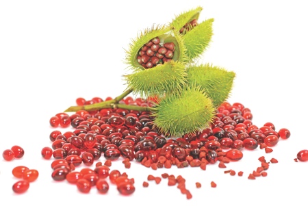 Annatto tocotrienol most potent Vitamin E antioxidant, study finds