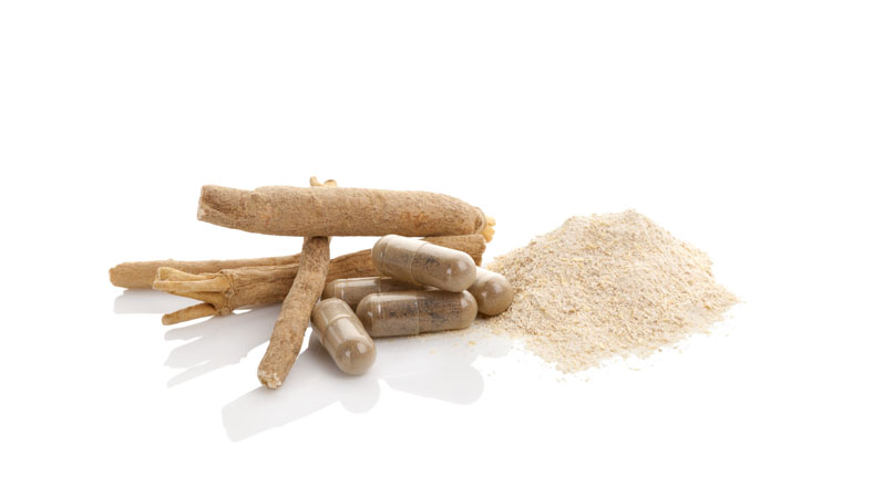 Viwithan: an ashwagandha extract to improve and restore cognitive function