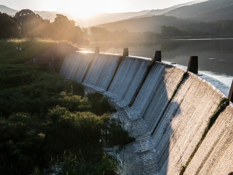 Westfalia pledges 50% less water by 2030