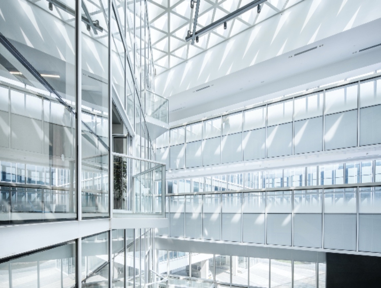 Arxada to invest $20.8m in ingredient production to aid DSM partnership expansion