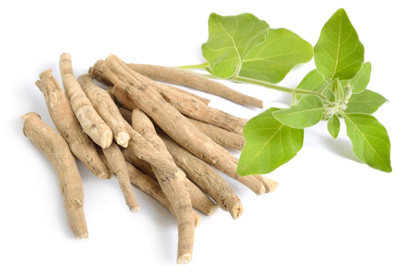 Ashwagandha: is the UK headed for a ban?