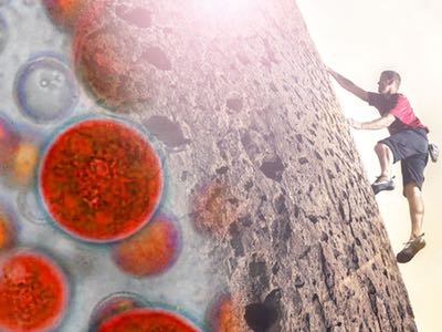 AstaPure Arava whole-algae powder with natural astaxanthin hits the market 