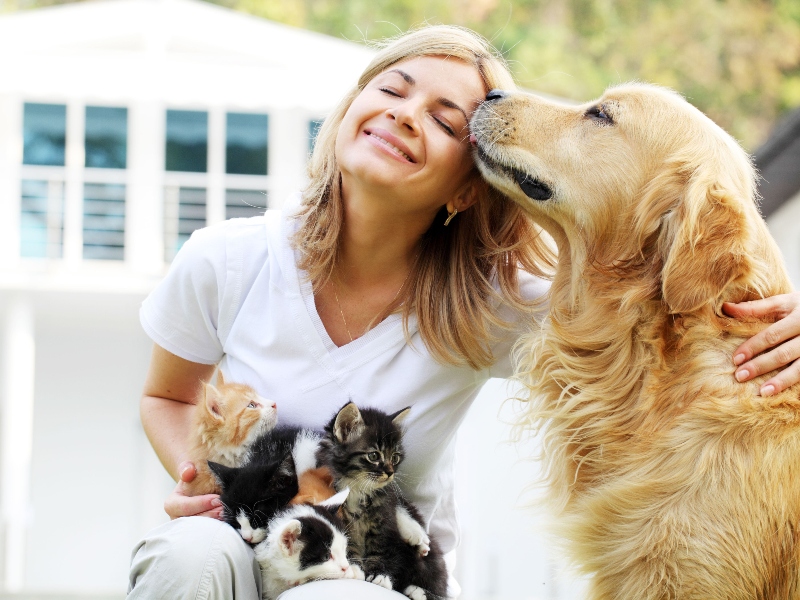 AstaReal targets pet food market with new collaboration