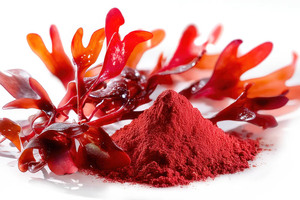 Astaxanthin ascends: how breakthrough science and preventive health are powering a billion-dollar antioxidant boom