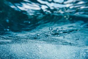 Astaxanthin association showcases decade-long immunity research