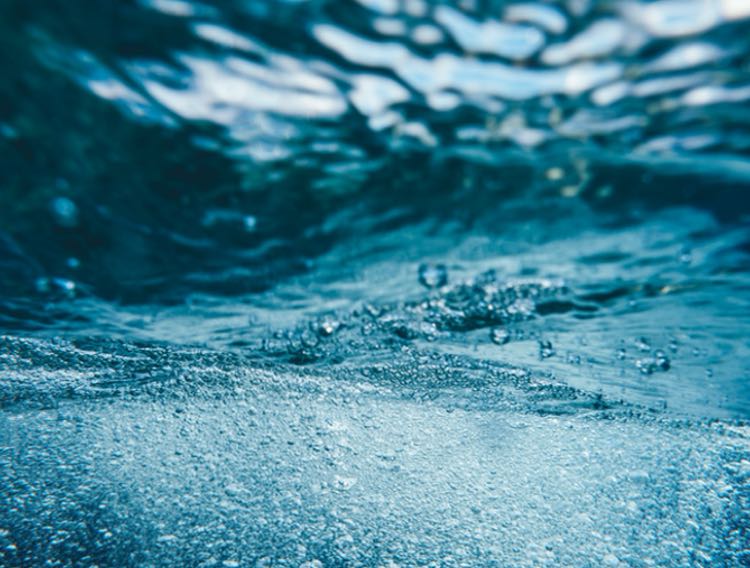 Astaxanthin association showcases decade-long immunity research