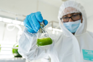 Augmenting digestive health with antioxidant power