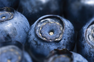 Authenticity and traceability: key parameters for quality botanicals
