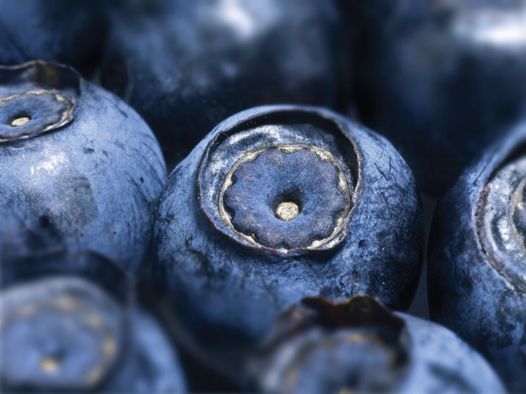Authenticity and traceability: key parameters for quality botanicals
