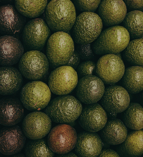 Avocados can change belly fat distribution in women, study finds