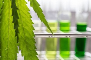 AXIM completes microencapsulation of cannabinoids into proprietary chewing gum delivery mechanism 