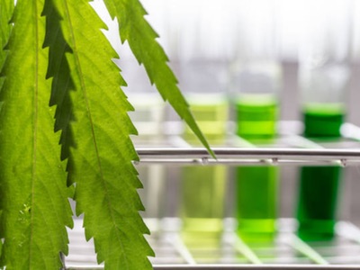 AXIM completes microencapsulation of cannabinoids into proprietary chewing gum delivery mechanism 