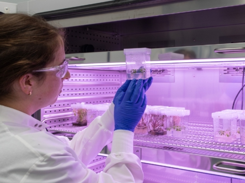 Ayana Bio opens "Plant Cell-to-Product Laboratory" for nutraceutical ingredients
