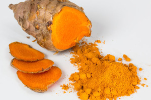 Ayurvedic plants for digestive tract health