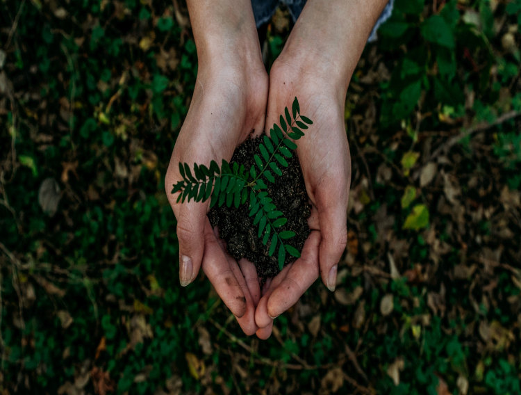 Azelis publishes 2020 sustainability report