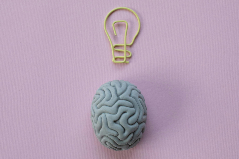 Bacopa supplementation associated with improved cognition and memory, study finds