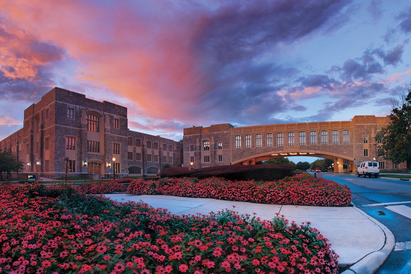 Balchem and Virginia Tech collaborate to study the effects of mineral nutrition on human health