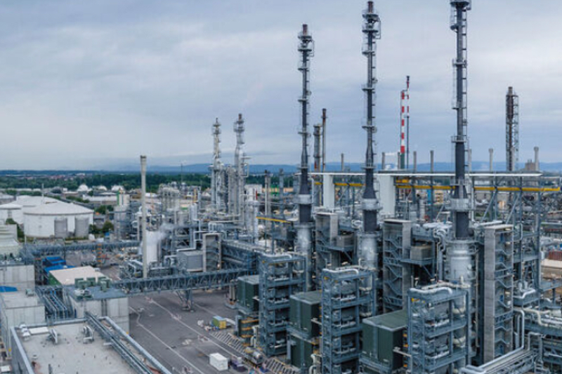 BASF declares Force Majeure on vitamin A, E and carotenoid product deliveries after plant fire