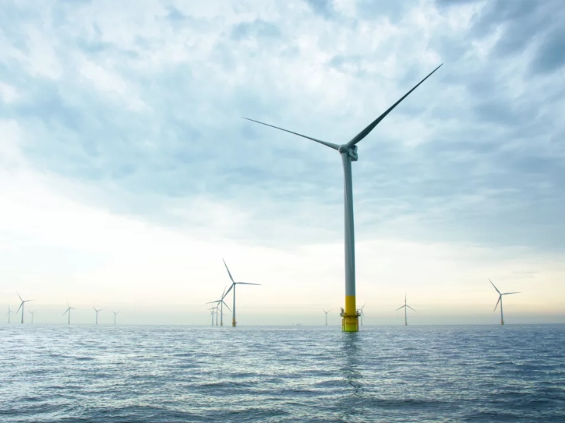 BASF offers carbon footprints for nutritional product portfolio