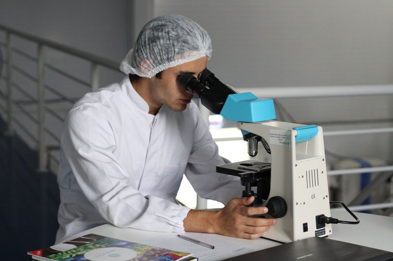 Battling lupus with krill 