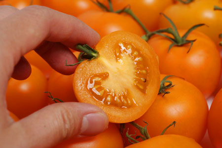 Beating heart and vascular disease with tomatoes