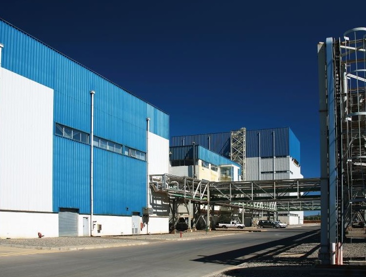 Beneo begins $55 million chicory root production expansion