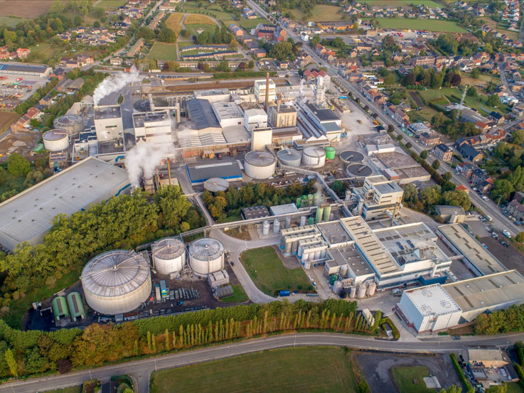 BENEO moves further towards carbon neutrality at Oreye chicory root fibre plant
