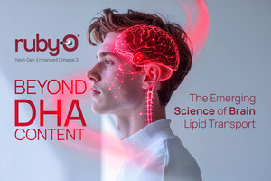 Beyond DHA content: The emerging science of brain lipid transport