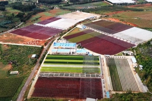 BGG completes photobioreactor microalgae farm expansion