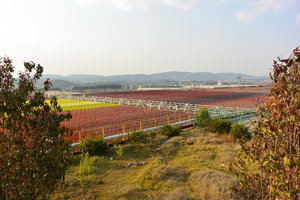 BGG expands Chinese astaxanthin ingredient manufacturing capacity