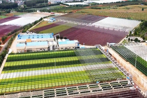 BGG World announces doubling of astaxanthin capacity