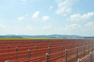 BGG World reveals two major expansions of its Astaxanthin farm’s capacity