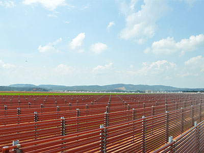BGG World reveals two major expansions of its Astaxanthin farm’s capacity