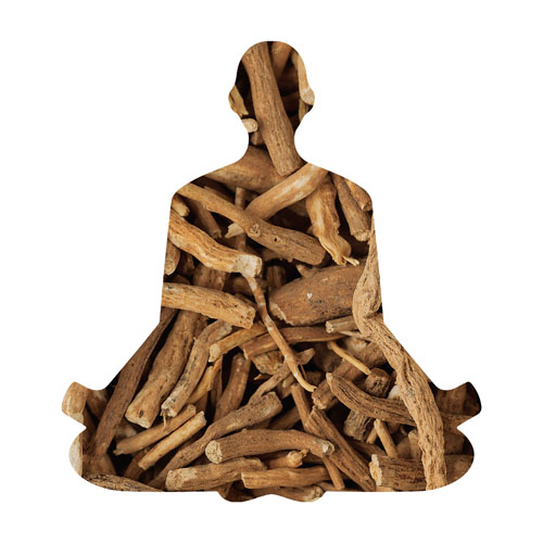 Bioactivity protected new ashwagandha extract 
