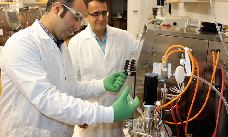 Biofilm reactor promises to cut production costs on vitamin K