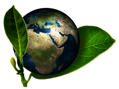 Bioplastics: paving the way to meet EU packaging and packaging waste regulation goals