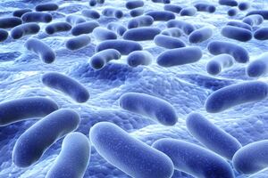 Biosearch Life launches clinical trial on probiotic to aid COVID-19 