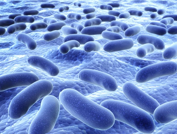 Biosearch Life launches clinical trial on probiotic to aid COVID-19 