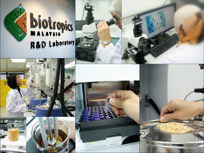 Biotropics Malaysia launches botanical extract to support brain health